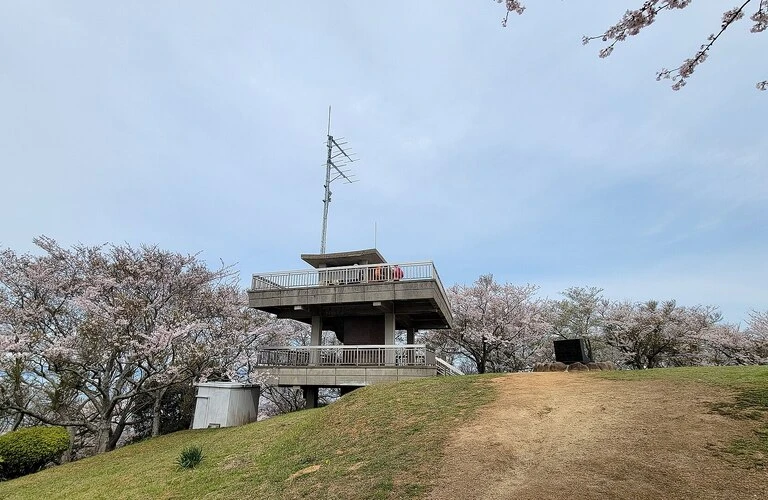 山陽小野田市の不動産売却・空き家・土地のご相談｜まねき不動産株式会社